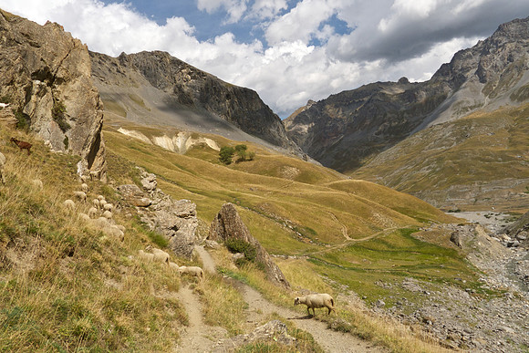 Mountain bike ride, below (NE of) Col de Galibier