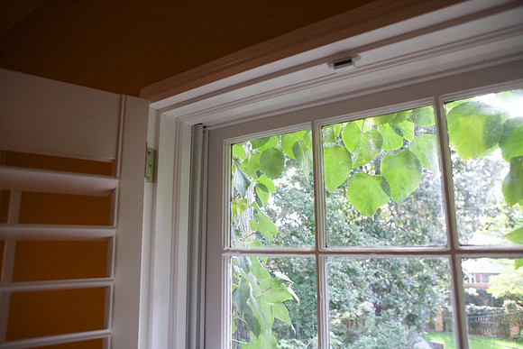 2nd floor, rear, Study, left window