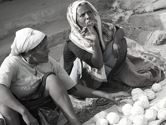 Microfinance Recipients (produce sales), Wonji