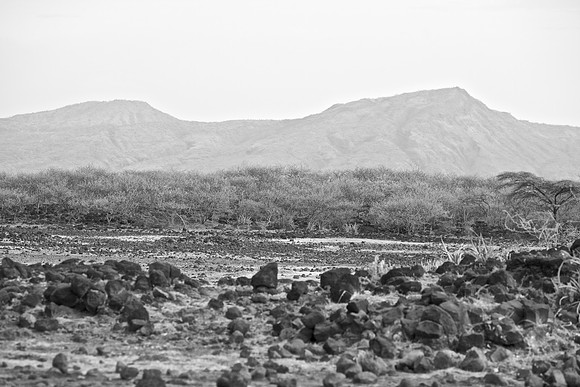 Volcanic Basin, Afar