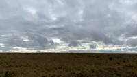 Morning on veld ...